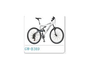 Import mountain bike GW-B389 from chinese wholesale supplier and manufacturer