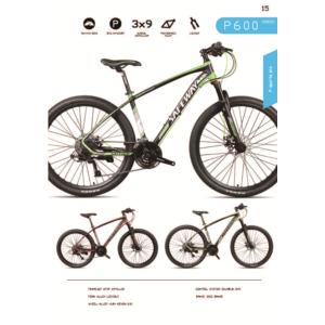 Import MOUNTIAN BIKE from chinese wholesale supplier and manufacturer
