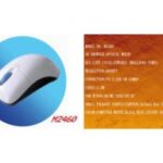 Import Mouse from chinese wholesale supplier and manufacturer