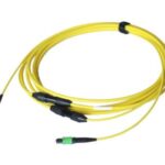 Import MPO backbone optical cable from chinese wholesale supplier and manufacturer