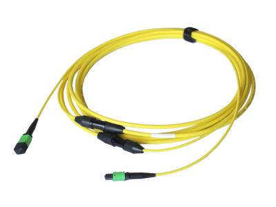 Import MPO backbone optical cable from chinese wholesale supplier and manufacturer