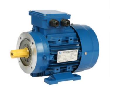 Import MS series three phase aluminum motor(IE1) from chinese wholesale supplier and manufacturer