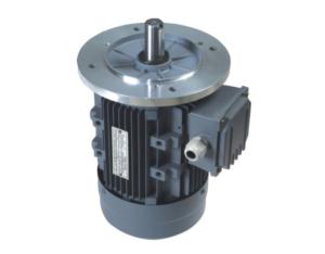 Import MS three-phase asynchronous motor from chinese wholesale supplier and manufacturer