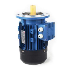 Import MS2 Three Phase Induction motor IE2 from chinese wholesale supplier and manufacturer