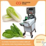 Import Multi-function Vegetables Cutting Machine from chinese wholesale supplier and manufacturer
