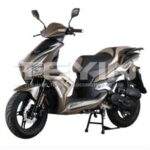 Import MUSTANG XRS from chinese wholesale supplier and manufacturer