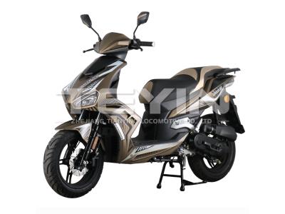 Import MUSTANG XRS from chinese wholesale supplier and manufacturer