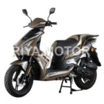 Import MUSTANG XRS from chinese wholesale supplier and manufacturer