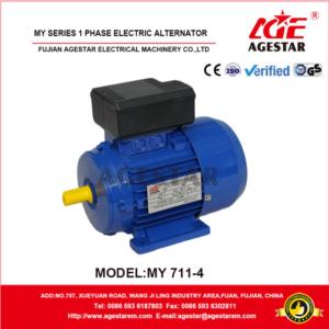 Import MY series single phase aluminum housing motor from chinese wholesale supplier and manufacturer
