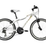 Import Naivete kids bicycle from chinese wholesale supplier and manufacturer