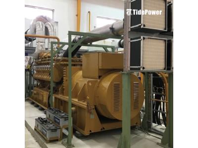 Import Natural Generator Gas from chinese wholesale supplier and manufacturer