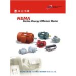 Import NEMA THREE PHASE INDUCTION MOTOR from chinese wholesale supplier and manufacturer