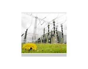 Import Network business from chinese wholesale supplier and manufacturer