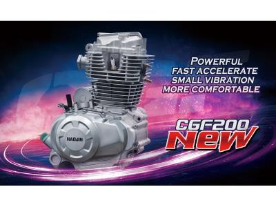Import New CGF200 engine from chinese wholesale supplier and manufacturer
