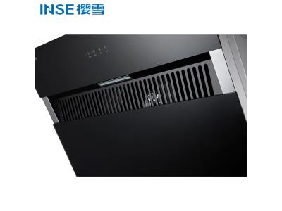 Import New European Style Wall Mount Kitchen Range Hood Cooker Hood CXW-238-C1909(B) from chinese wholesale supplier and manufacturer