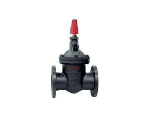 Import NF GATE VALVE from chinese wholesale supplier and manufacturer