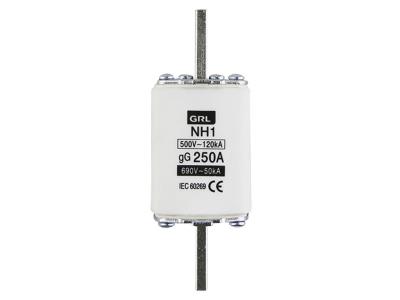 Import NH NT Fast Semiconductor Fuses 160A LOW Voltage High IEC from chinese wholesale supplier and manufacturer
