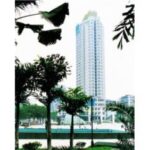 Import Nine Dragons Plaza from chinese wholesale supplier and manufacturer