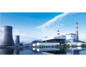 Import Ningxia Lingwu Power Plant Phase II (2X1000MW) from chinese wholesale supplier and manufacturer