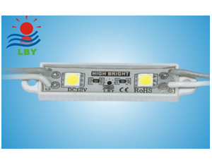 Import NO:CH452F Name：2-SMD 5050 waterproof module from chinese wholesale supplier and manufacturer