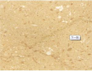 Import Nonmetal minerals from chinese wholesale supplier and manufacturer
