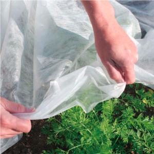 Import NONWOVEN FABRIC from chinese wholesale supplier and manufacturer