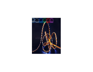 Import Norma Rope Light Series from chinese wholesale supplier and manufacturer