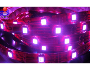 Import NO:SH30F Name：SMD5050 waterproof flexible strip from chinese wholesale supplier and manufacturer