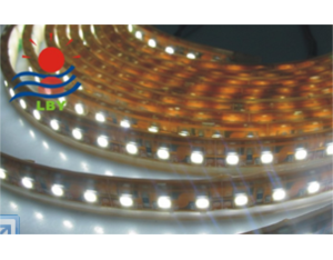 Import NO:SK60F Name：SMD 3528 waterproof flexible strip from chinese wholesale supplier and manufacturer