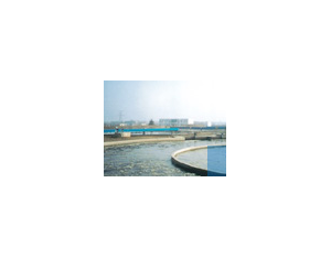 Import Organic wastewater treatment from chinese wholesale supplier and manufacturer