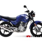 Import Other Motorcycle Parts & Accessories from chinese wholesale supplier and manufacturer