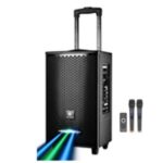 Import outdoor powerd wooden recharable trolley bluetooth speaker 10inch from chinese wholesale supplier and manufacturer
