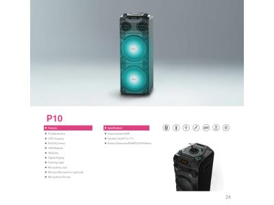 Import P10-Party Speaker from chinese wholesale supplier and manufacturer