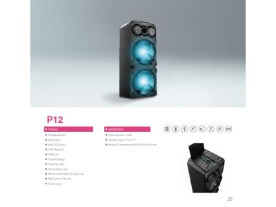Import P12-Party Speaker from chinese wholesale supplier and manufacturer