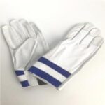 Import P138 from chinese wholesale supplier and manufacturer