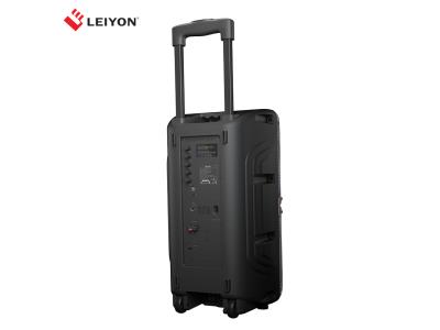 Import PA Speaker Portable DJ Speakers with Bluetooth USB SD Card and Line-In Microphone from chinese wholesale supplier and manufacturer