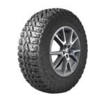 Import Passenger Car Tyre-TR281 from chinese wholesale supplier and manufacturer