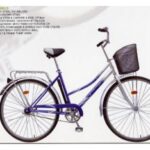 Import PEL07-28812 Bike from chinese wholesale supplier and manufacturer