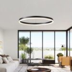 Import Pendant Lights/Ceiling Lamp from chinese wholesale supplier and manufacturer