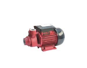 Import PERIPHERAL PUMP from chinese wholesale supplier and manufacturer