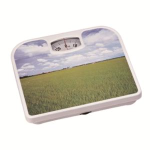 Import personal scale from chinese wholesale supplier and manufacturer