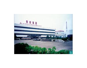 Import Phase 4 Project of Anyang Color Glass Group from chinese wholesale supplier and manufacturer