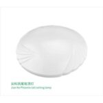 Import Phoenix tail ceiling lamp from chinese wholesale supplier and manufacturer