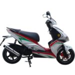 Import PIEGON from chinese wholesale supplier and manufacturer