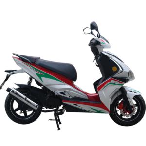 Import PIEGON from chinese wholesale supplier and manufacturer