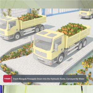 Import Pineapple& Mango processing line from chinese wholesale supplier and manufacturer