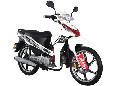 Import PK110 (LF110-26B) LIFAN Cub Motorcycle from chinese wholesale supplier and manufacturer