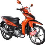 Import PK110F (LF110-26C) LIFAN Cub Motorcycle from chinese wholesale supplier and manufacturer