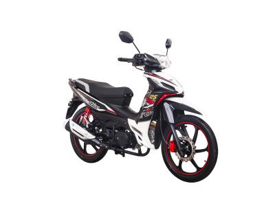 Import PK125M (LF125-26D) LIFAN Cub Motorcycle from chinese wholesale supplier and manufacturer
