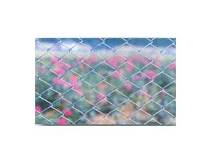 Import Plated zinc Ling-shaped network from chinese wholesale supplier and manufacturer